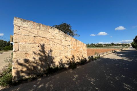 Terra a Muro, Mallorca, Muro - € 230.000 | Ref: 80138 - foto 6