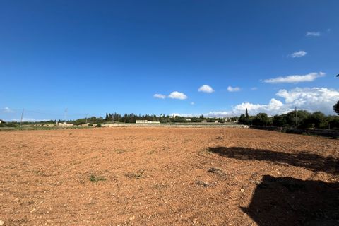 Terra a Muro, Mallorca, Muro - € 230.000 | Ref: 80138 - foto 7