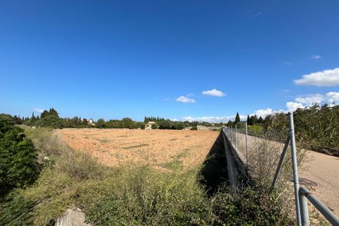 Terra a Muro, Mallorca, Muro - € 230.000 | Ref: 80138 - foto 8