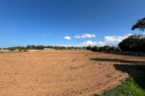Terra a Muro, Mallorca, Muro - € 230.000 | Ref: 80138 - foto 10