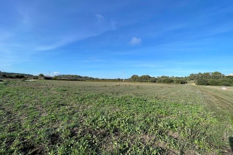 Landejendom i Muro, Mallorca, Muro - € 1.795.000 | Ref: 82856 - foto 11