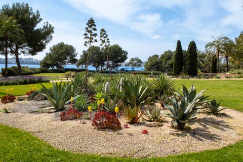 Leilighet i Calvia, Mallorca, Calvia - € 2 250 000 | Ref: 83244 - foto 14