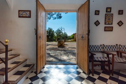 Finca i Establiments, Mallorca, Establiments - € 3.900.000 | Ref: 83351 - foto 3