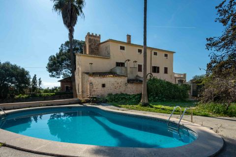 Finca i Establiments, Mallorca, Establiments - € 3.900.000 | Ref: 83351 - foto 8