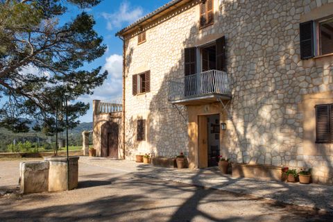 Finca i Establiments, Mallorca, Establiments - € 3.900.000 | Ref: 83351 - foto 14