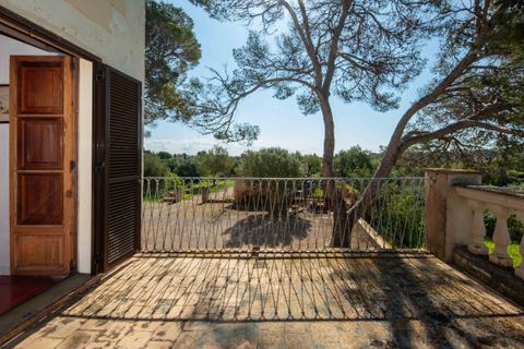 Finca i Establiments, Mallorca, Establiments - € 3.900.000 | Ref: 83351 - foto 15