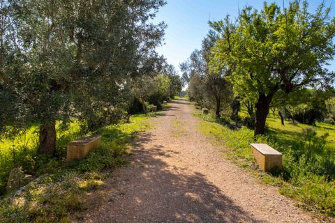 Finca i Establiments, Mallorca, Establiments - € 3.900.000 | Ref: 83351 - foto 16