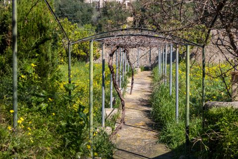 Finca i Establiments, Mallorca, Establiments - € 3.900.000 | Ref: 83351 - foto 20