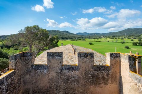 Finca i Establiments, Mallorca, Establiments - € 3.900.000 | Ref: 83351 - foto 22