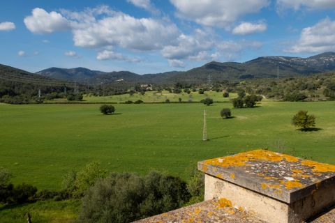 Finca i Establiments, Mallorca, Establiments - € 3.900.000 | Ref: 83351 - foto 23