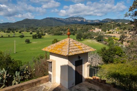 Finca i Establiments, Mallorca, Establiments - € 3.900.000 | Ref: 83351 - foto 25