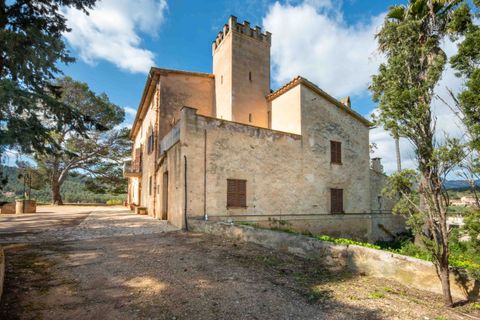Finca i Establiments, Mallorca, Establiments - € 3.900.000 | Ref: 83351 - foto 27
