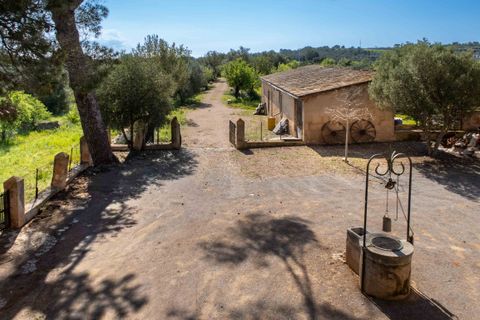 Finca i Establiments, Mallorca, Establiments - € 3.900.000 | Ref: 83351 - foto 28