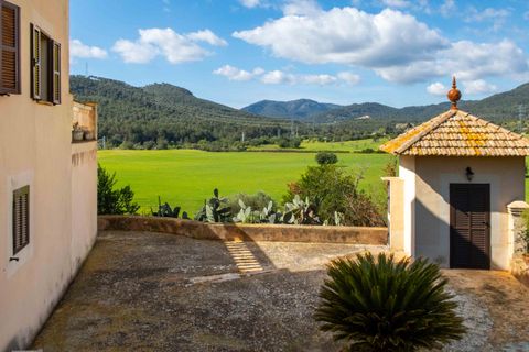 Finca i Establiments, Mallorca, Establiments - € 3.900.000 | Ref: 83351 - foto 29