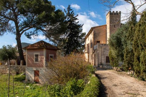 Finca i Establiments, Mallorca, Establiments - € 3.900.000 | Ref: 83351 - foto 30