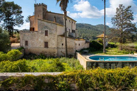 Finca i Establiments, Mallorca, Establiments - € 3.900.000 | Ref: 83351 - foto 31