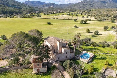 Finca i Establiments, Mallorca, Establiments - € 3.900.000 | Ref: 83351 - foto 33