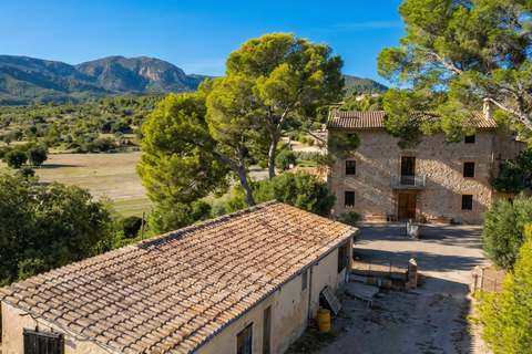 Finca i Establiments, Mallorca, Establiments - € 3.900.000 | Ref: 83351 - foto 34