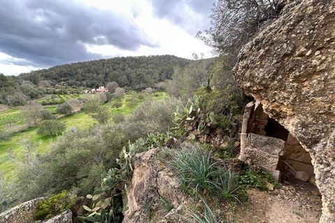 Landejendom i Santa Eugenia, Mallorca, Santa Eugenia - € 450.000 | Ref: 83358 - foto 2