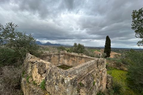 Landejendom i Santa Eugenia, Mallorca, Santa Eugenia - € 450.000 | Ref: 83358 - foto 3