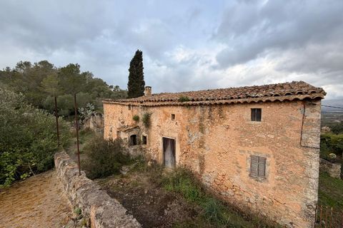 Landejendom i Santa Eugenia, Mallorca, Santa Eugenia - € 450.000 | Ref: 83358 - foto 5