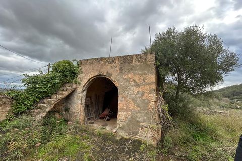 Landejendom i Santa Eugenia, Mallorca, Santa Eugenia - € 450.000 | Ref: 83358 - foto 6