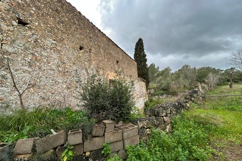 Landejendom i Santa Eugenia, Mallorca, Santa Eugenia - € 450.000 | Ref: 83358 - foto 13