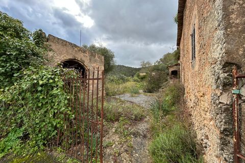 Landejendom i Santa Eugenia, Mallorca, Santa Eugenia - € 450.000 | Ref: 83358 - foto 15