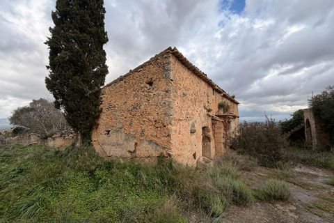 Landejendom i Santa Eugenia, Mallorca, Santa Eugenia - € 450.000 | Ref: 83358 - foto 19