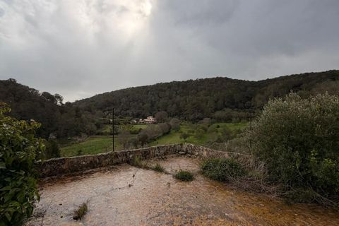 Landejendom i Santa Eugenia, Mallorca, Santa Eugenia - € 450.000 | Ref: 83358 - foto 24