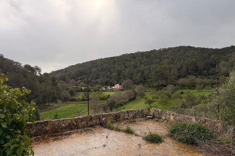Landejendom i Santa Eugenia, Mallorca, Santa Eugenia - € 450.000 | Ref: 83358 - foto 25