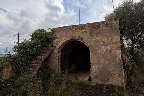 Landejendom i Santa Eugenia, Mallorca, Santa Eugenia - € 450.000 | Ref: 83358 - foto 29