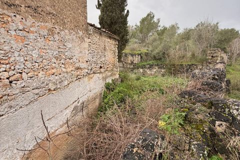 Landejendom i Santa Eugenia, Mallorca, Santa Eugenia - € 450.000 | Ref: 83358 - foto 30