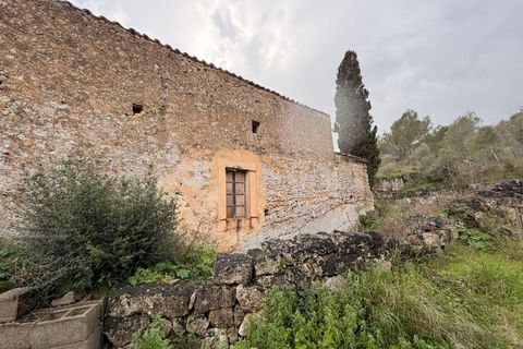 Landejendom i Santa Eugenia, Mallorca, Santa Eugenia - € 450.000 | Ref: 83358 - foto 32