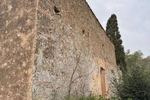 Landejendom i Santa Eugenia, Mallorca, Santa Eugenia - € 450.000 | Ref: 83358 - foto 33