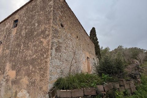 Landejendom i Santa Eugenia, Mallorca, Santa Eugenia - € 450.000 | Ref: 83358 - foto 34