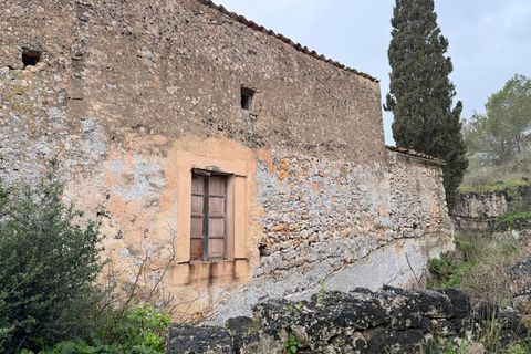 Landejendom i Santa Eugenia, Mallorca, Santa Eugenia - € 450.000 | Ref: 83358 - foto 35