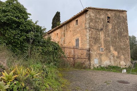 Landejendom i Santa Eugenia, Mallorca, Santa Eugenia - € 450.000 | Ref: 83358 - foto 36