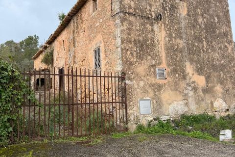 Landejendom i Santa Eugenia, Mallorca, Santa Eugenia - € 450.000 | Ref: 83358 - foto 37