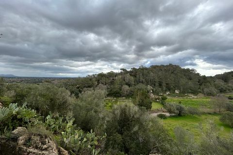 Landejendom i Santa Eugenia, Mallorca, Santa Eugenia - € 450.000 | Ref: 83358 - foto 38