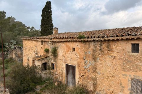 Landejendom i Santa Eugenia, Mallorca, Santa Eugenia - € 450.000 | Ref: 83358 - foto 39