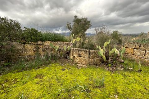 Landejendom i Santa Eugenia, Mallorca, Santa Eugenia - € 450.000 | Ref: 83358 - foto 40