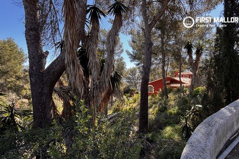 Helårsgrund i Peguera, Mallorca, Peguera - € 650.000 | Ref: 83397 - foto 3