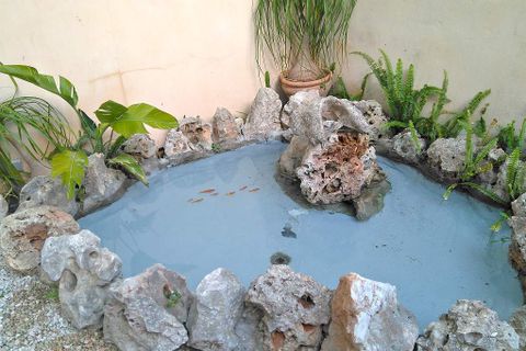 Village house in Sa Pobla, Mallorca, Sa Pobla - € 2,400/month | Ref: R29472 - photo 15