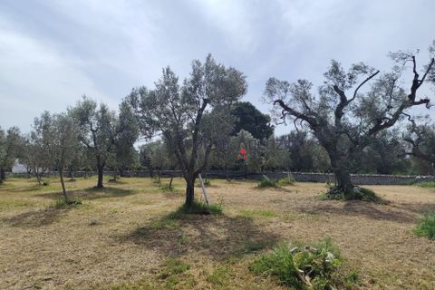 Villa i Carovigno, Brindisi, Carovigno - € 245.000 | Ref: 121110 - foto 20