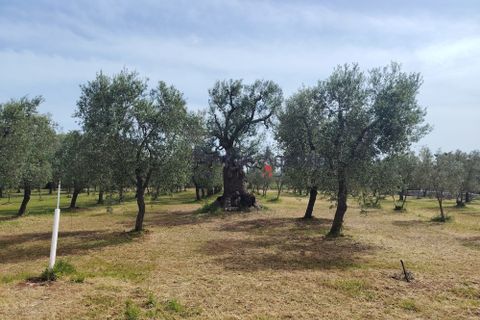 Villa i Carovigno, Brindisi, Carovigno - € 245.000 | Ref: 121110 - foto 23