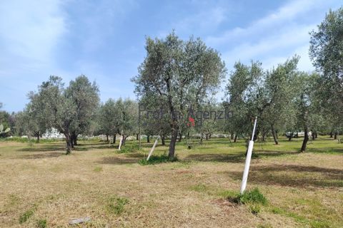 Villa i Carovigno, Brindisi, Carovigno - € 245.000 | Ref: 121110 - foto 21
