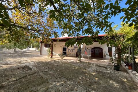 Landejendom i Ostuni, Brindisi, Ostuni - € 255.000 | Ref: 173034 - foto 3