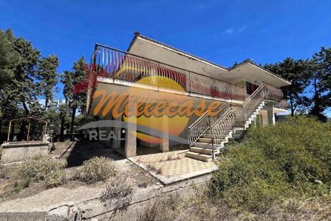 Villa a Siracusa, Siracusa, Siracusa - € 258.000 | Ref: RIF2925/258FONTANEBIANCHE - foto 2