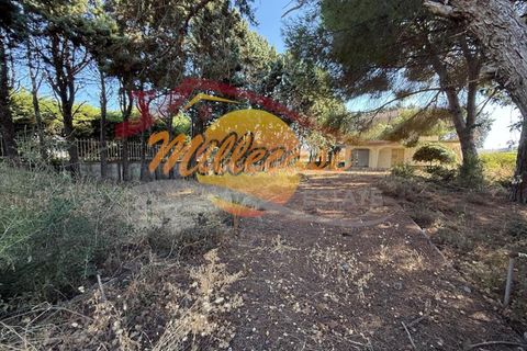 Villa a Siracusa, Siracusa, Siracusa - € 258.000 | Ref: RIF2925/258FONTANEBIANCHE - foto 4